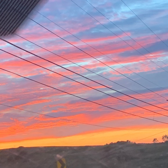 Meet your Posher, Gianna - Picture 2 of 2